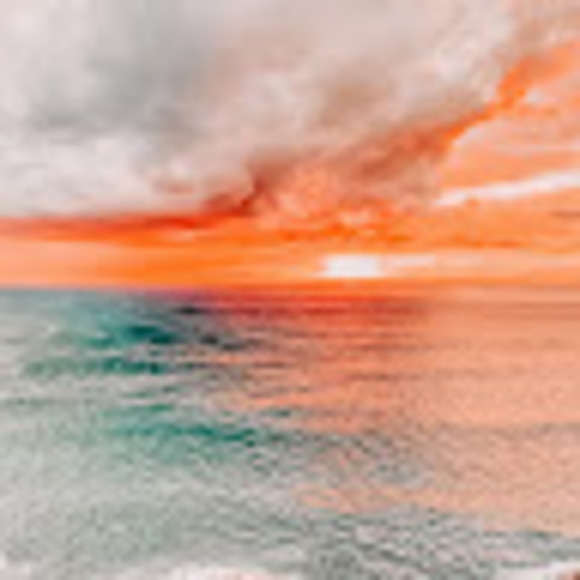 Meet your Posher, Abigail - Picture 1 of 1